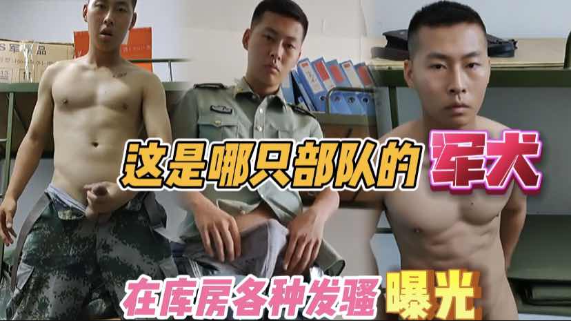 部队骚军犬偷偷在库房各种发情给主人看。